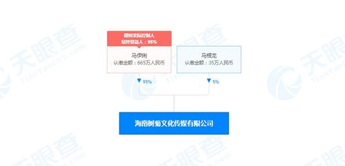 馬伊琍海南布局文化新賽道，成立文化傳媒公司拓展演出經紀版圖